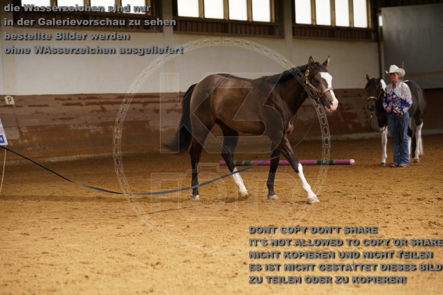 s_K3F01786.JPG